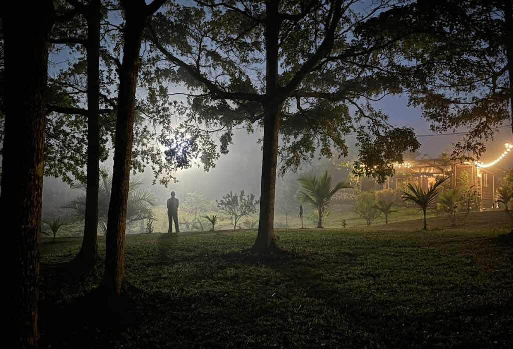 Night Garden at Lian House
